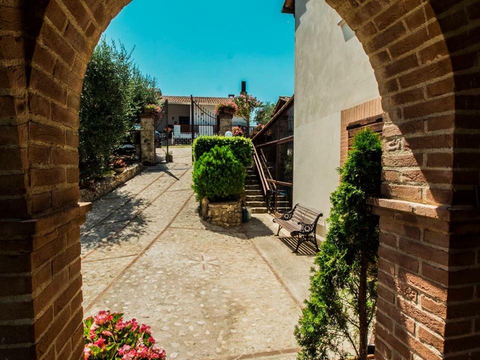 Апартаменты Il Poggio Degli Ulivi Collicello Экстерьер фото
